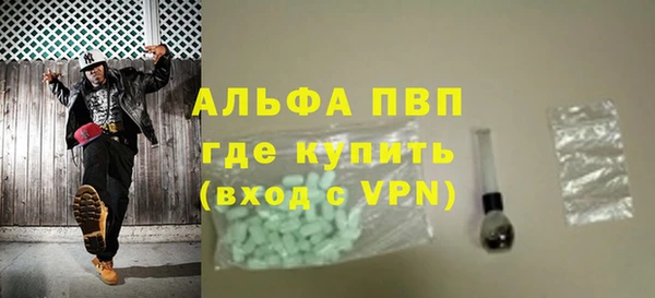 ГАЛЛЮЦИНОГЕННЫЕ ГРИБЫ Бородино