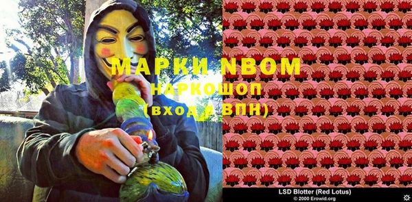 прущие грибы Покровск