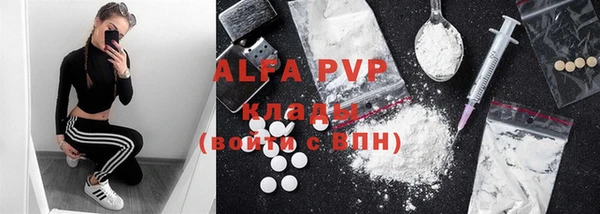 ГАЛЛЮЦИНОГЕННЫЕ ГРИБЫ Бородино