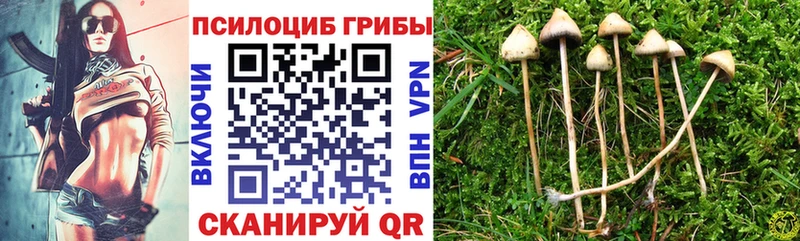 Псилоцибиновые грибы MAGIC MUSHROOMS  где продают наркотики  мега ССЫЛКА  Емва 